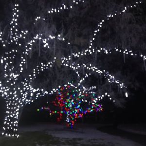 Meet your Posher, Yoshiko